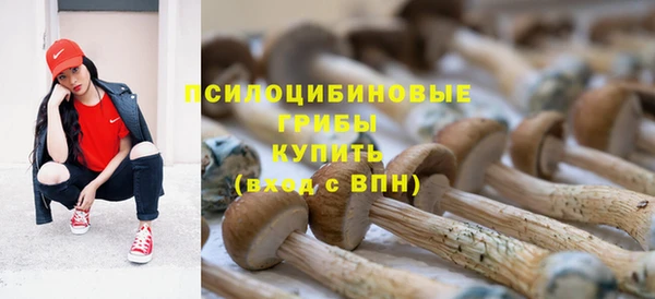 а пвп мука Кукмор
