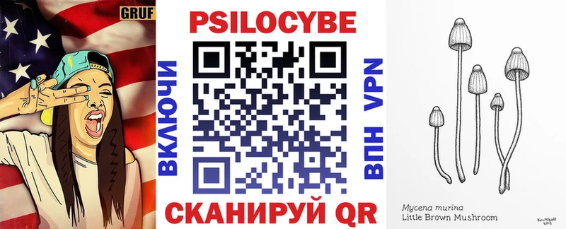 Псилоцибиновые грибы Cubensis  Купить  Владимир 